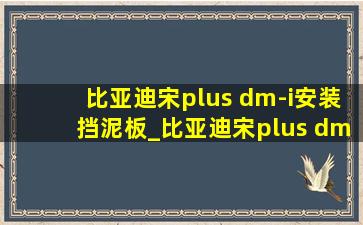 比亚迪宋plus dm-i安装挡泥板_比亚迪宋plus dm-i安装车顶行李箱